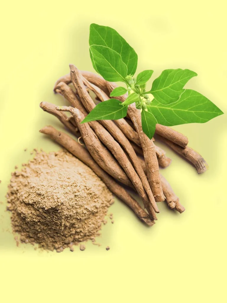 Ashwangandha a Home remedy to strengthen muscles